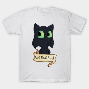 Black Cats are not Bad Luck T-Shirt